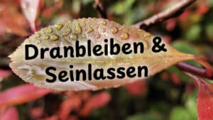 Gute Frage #02
