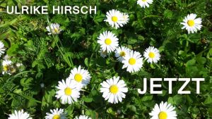 Jetzt