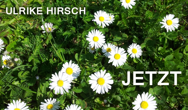 Jetzt